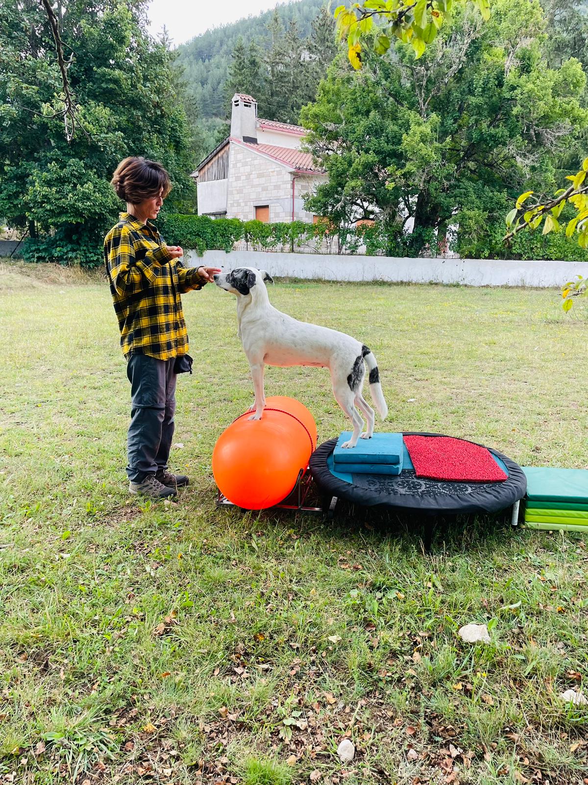 Lunamhi in equilibrio su una piattaforma durante un'attività educativa